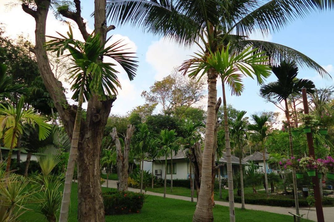 Garten und Bungalow Sai Kaew Beach Resort