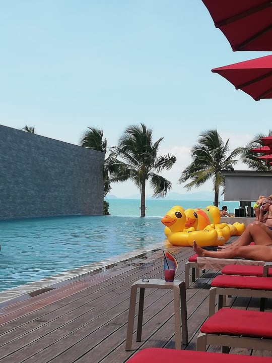Pool Explorar Koh Samui – Adults Only Resort and Spa