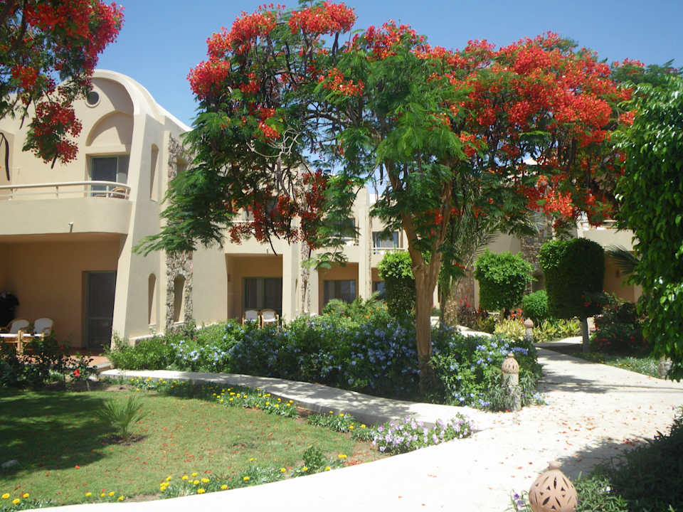 Kompliment! Shams Alam Beach Resort