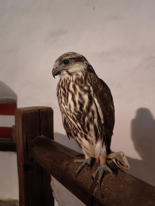 Sonstiges Hotel Maurachhof