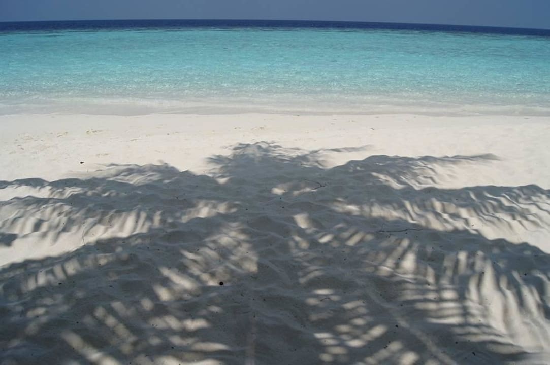 Unser Ausblick von der Liege Eri Maldives