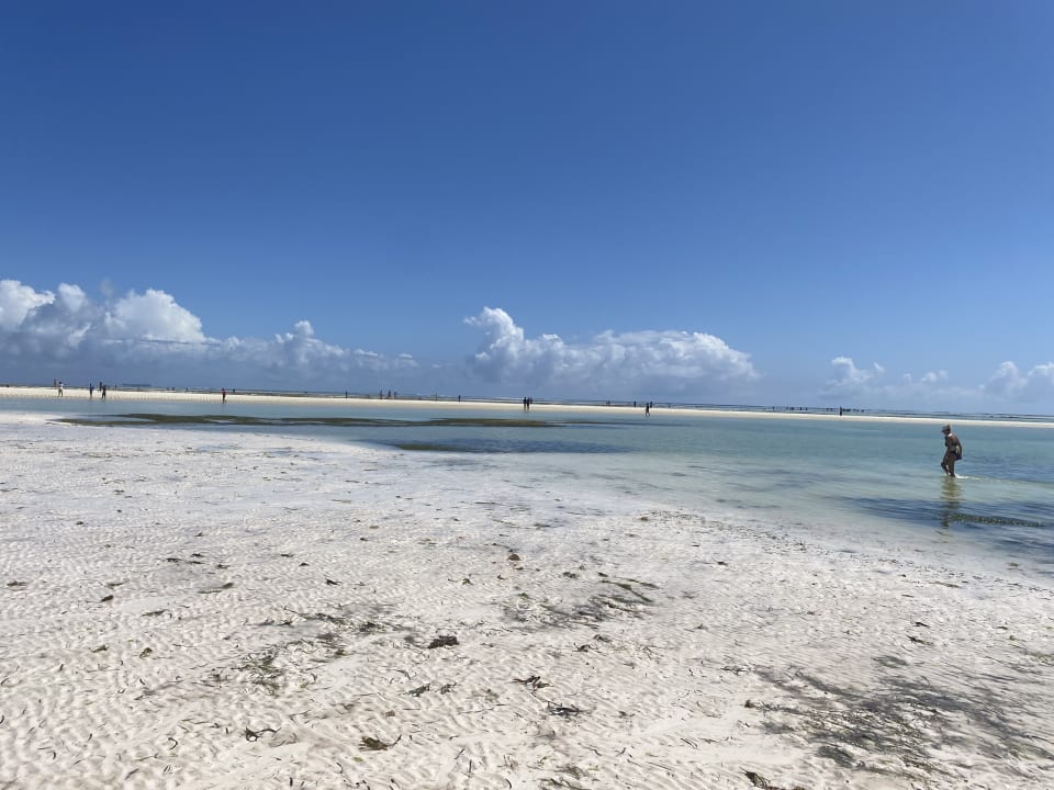 Strand Neptune Pwani Beach Resort & Spa