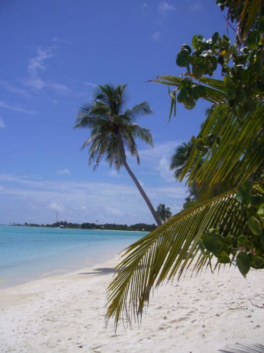 Strand Meeru Maldives Resort Island