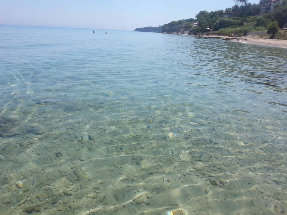 Czysta woda, kraby i rybki AluaSoul Zakynthos - Adults only