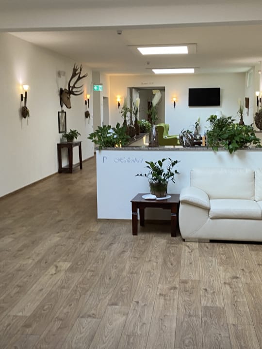 Lobby Zur Grünen Au