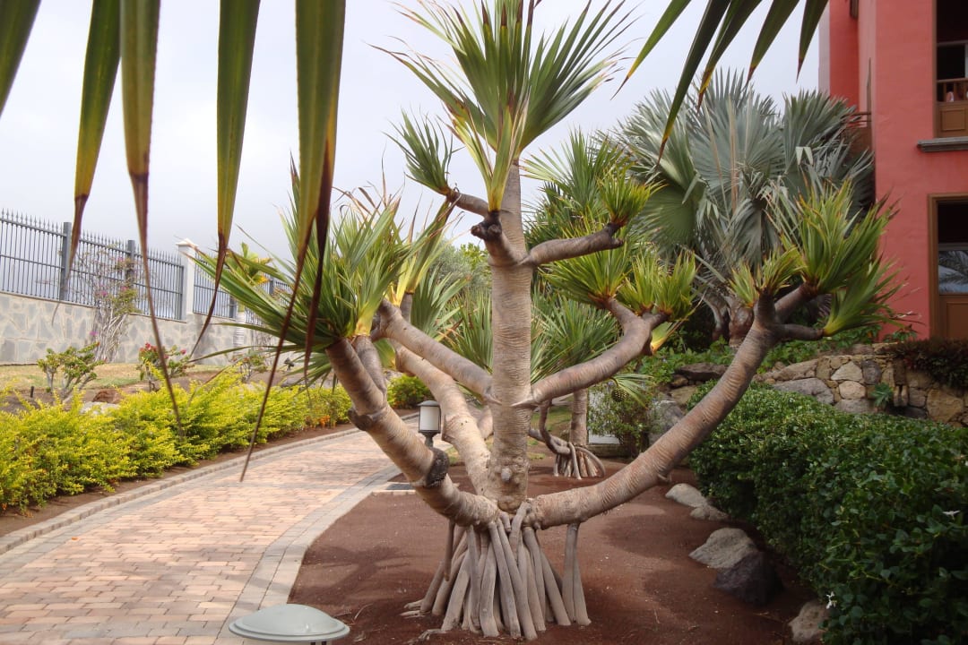 Villa del Conde Lopesan Villa del Conde Resort & Thalasso