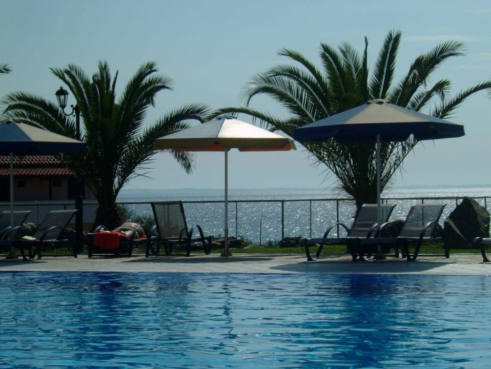 Pool Blue Dolphin Resort Hotel