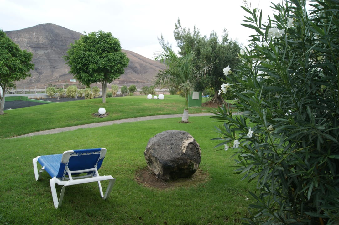 Liegewiese direkt vorm Zimmer allsun App.-Hotel Esquinzo Beach