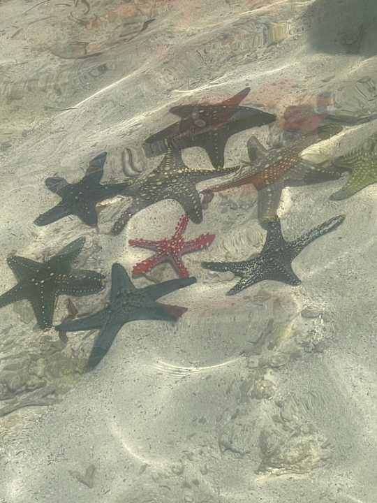 Strand TUI Blue Bahari Zanzibar