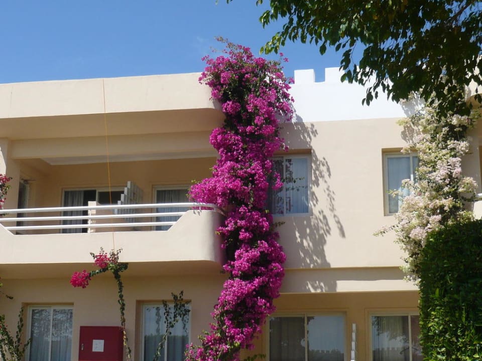 Hotelzimmer außen Golden Beach Resort