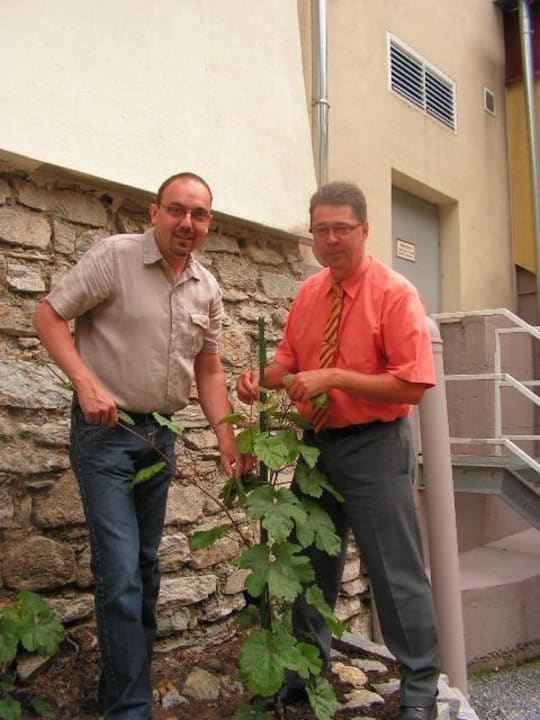 Winzer Hr.Tschida und Dir.Wagner beim Weinrebenprojekt Sanotel Bad Gastein