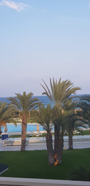 Ausblick Iberostar Waves Averroes