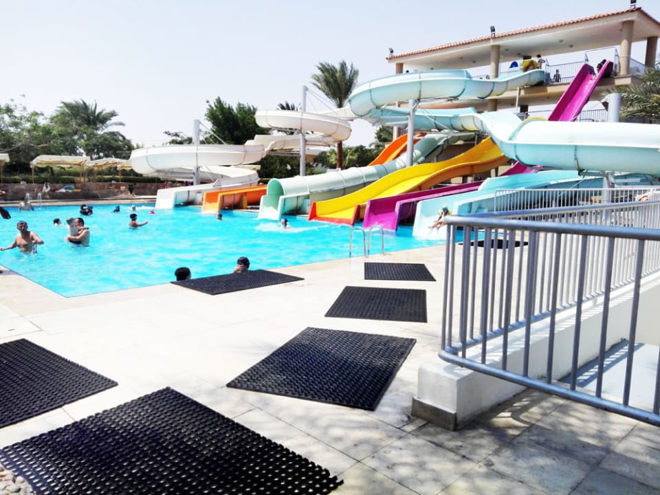 Sport & Freizeit Desert Rose