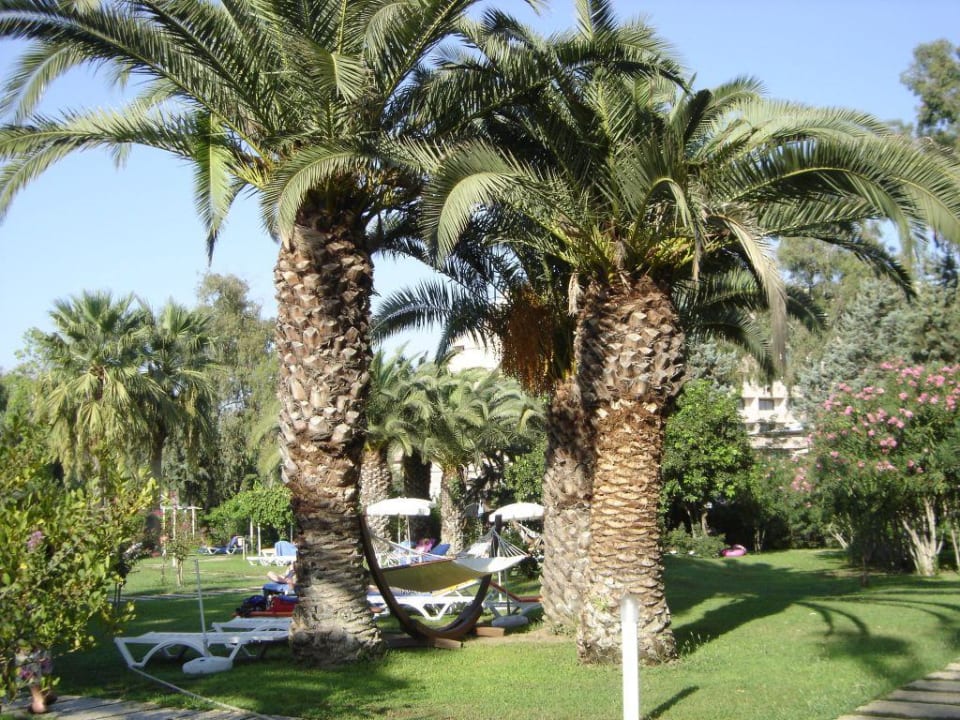 Gartenanlage vom Hotel Asteria Collection Side