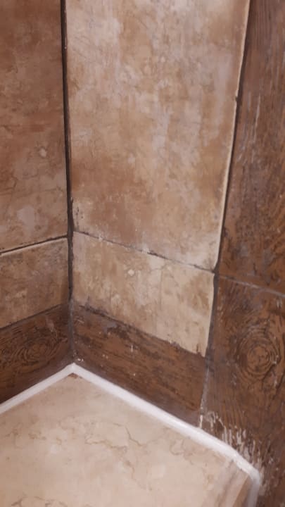 Zimmer Pickalbatros Citadel Resort