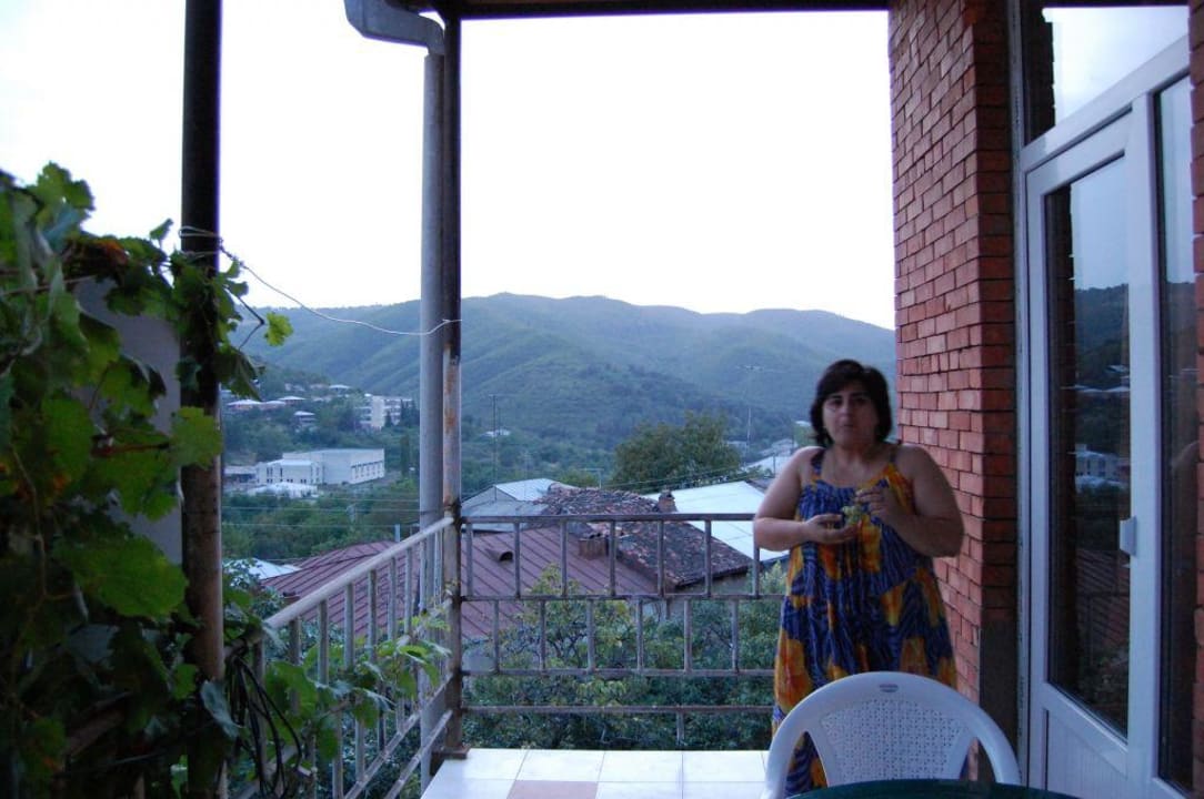 Blick vom Balkon über das Alasanital in Kachetien Guesthouse Nana