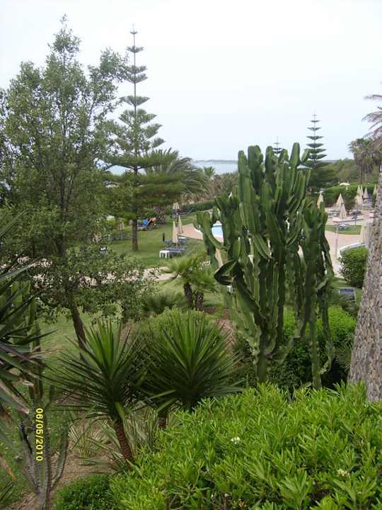 Viel grün Fuerte Conil-Resort