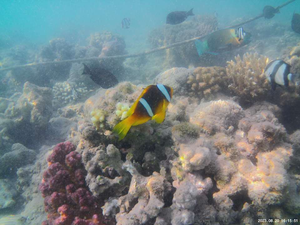 Strand Grand Waterworld Makadi & Family Star Makadi