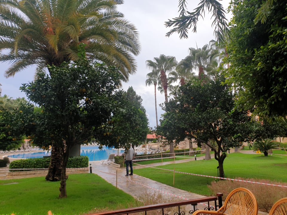Gartenanlage Miramare Queen Hotel
