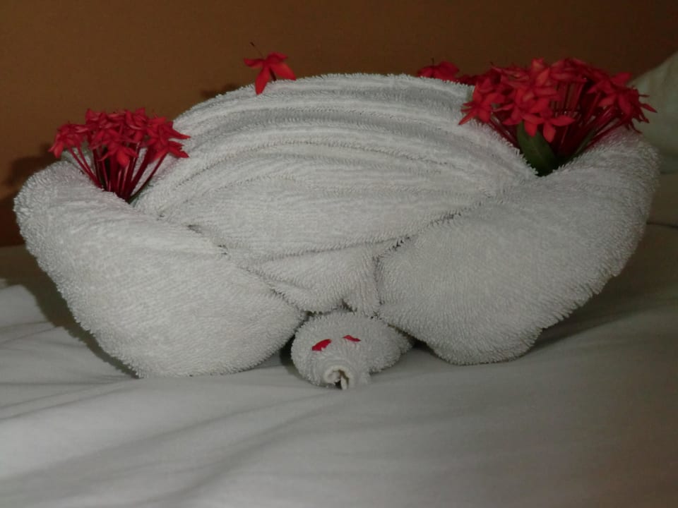 Handtuchfiguren wurden täglich neu gestaltet Bahia Principe Grand El Portillo