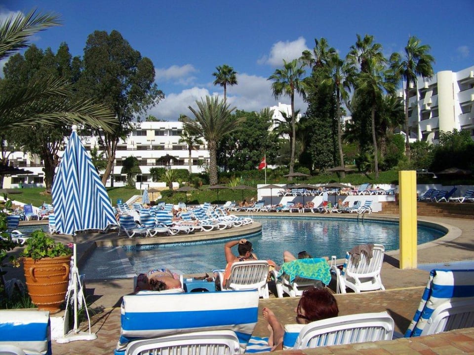 Pool unter Palmen Allegro Agadir