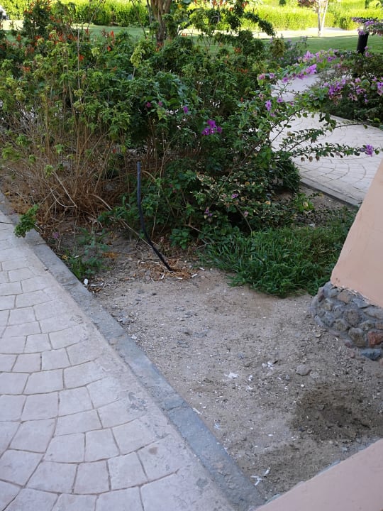 Gartenanlage Jasmine Palace Resort & Spa