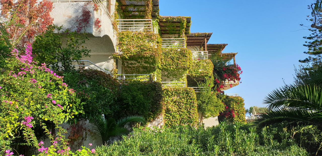 Außenansicht Apollonia Beach Resort & Spa