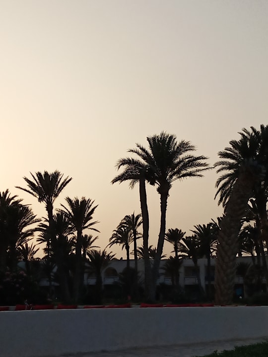 Gartenanlage Zita Beach Resort