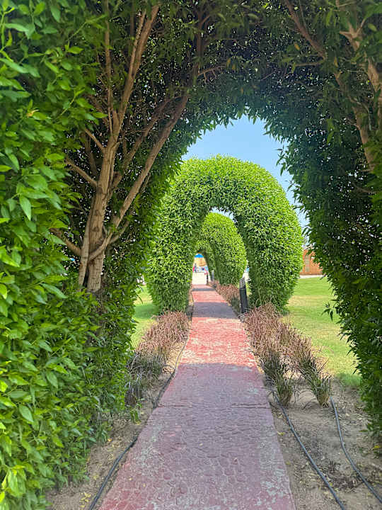 Gastro Cleopatra Luxury Resort Makadi Bay