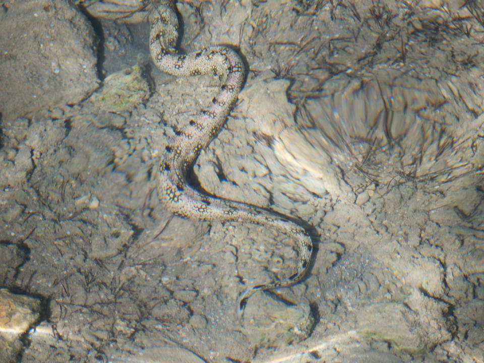 Sonstiges Stella Beach Resort & Spa Makadi Bay