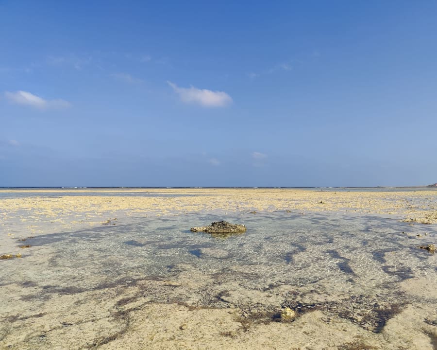 Ausblick Mövenpick Resort El Quseir