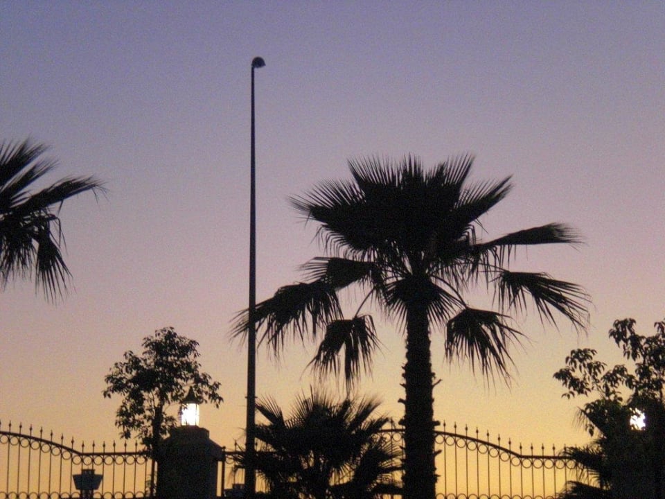 Am Abend  Side Crown Palace