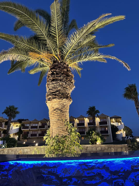 Gartenanlage Hotel Kalithea Horizon Royal