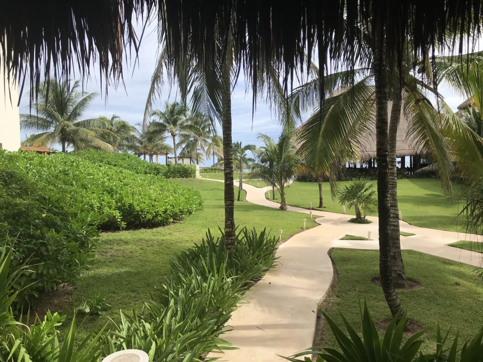 Gartenanlage Akumal Bay Beach & Wellness Resort