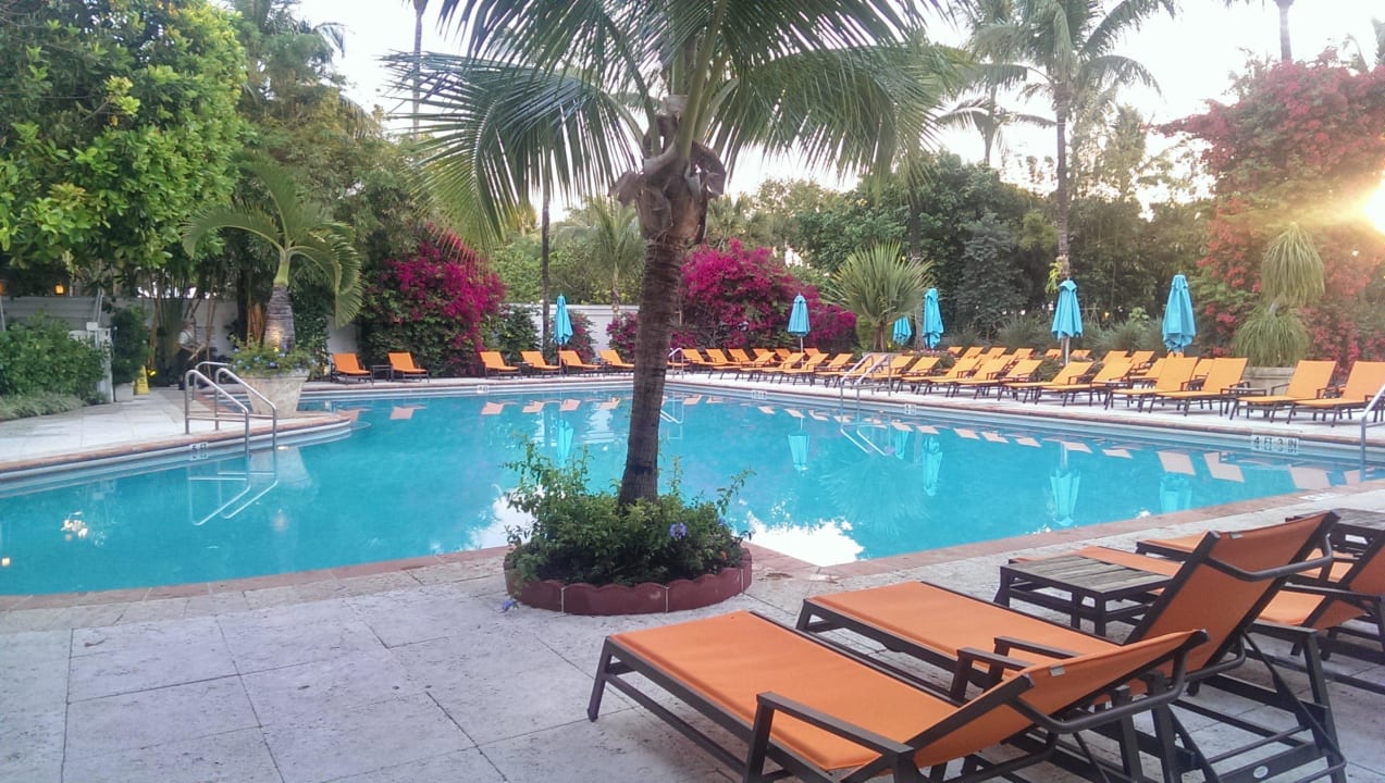 Pool The Palms Hotel & Spa