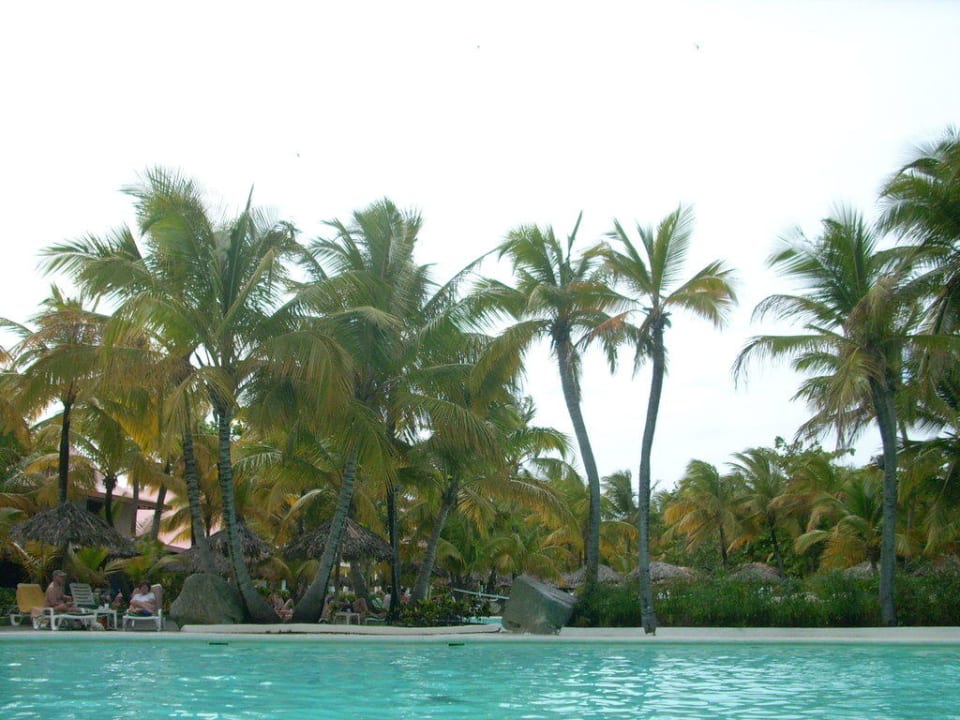 Karibisches Flair Playabachata Hotel