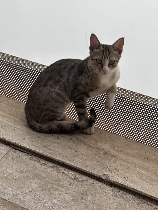 Sonstiges Riviera Hotel & Spa