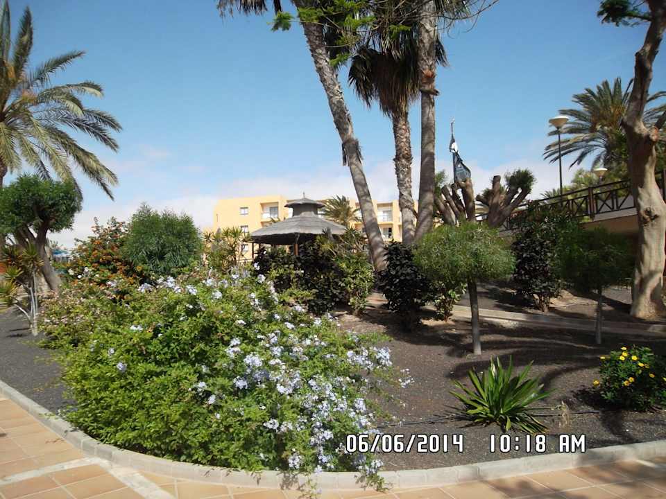 Garten SBH Costa Calma Beach Resort