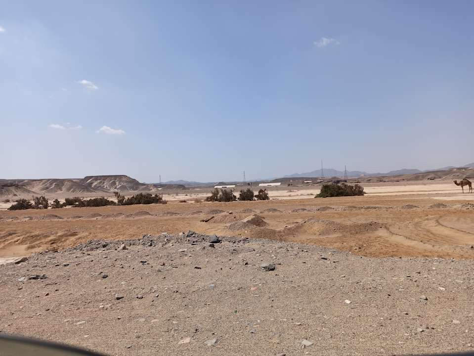 Ausblick Shams Alam Beach Resort