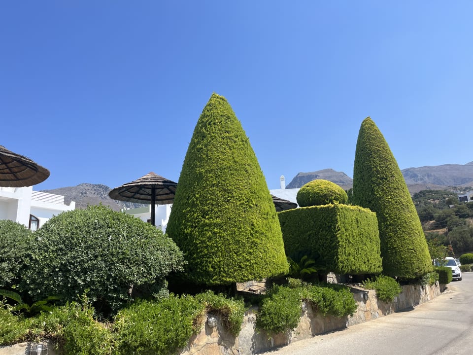 Gartenanlage Alianthos Estate Resort