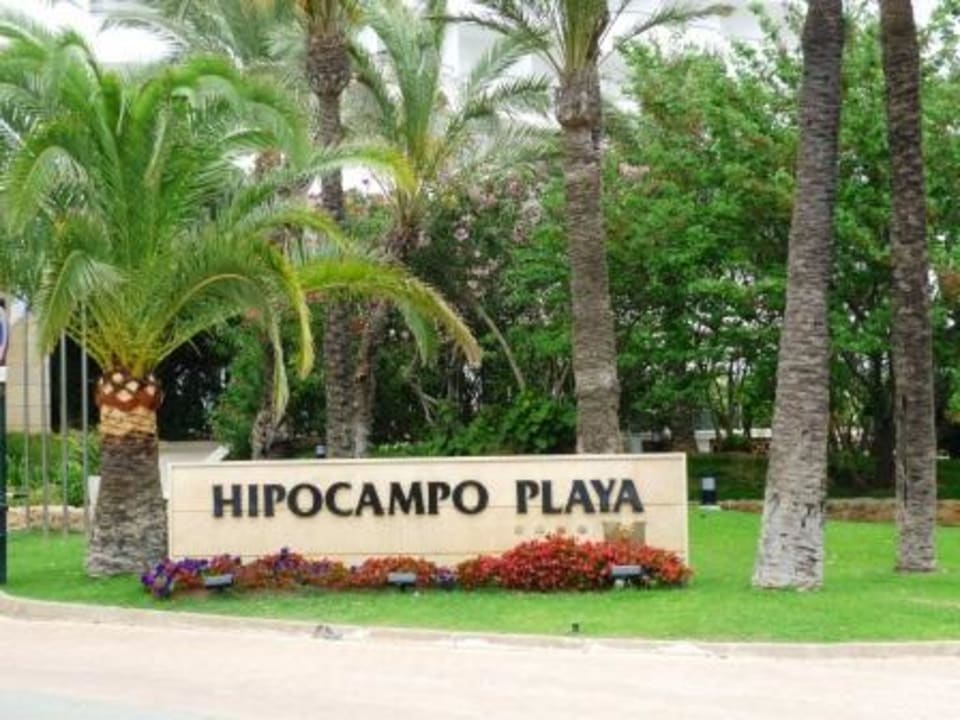 Ansicht des Hotels von der Straße aus Hipotels Hipocampo Playa
