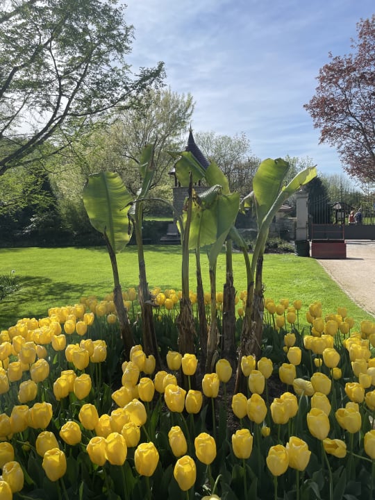 Gartenanlage Hotel Restaurant Rebstock Durbach