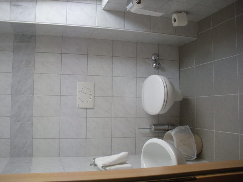 WC AKTIVHOTEL Weisser Hirsch
