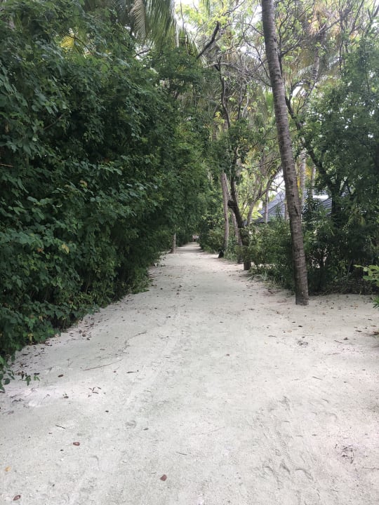 Gartenanlage Summer Island Maldives