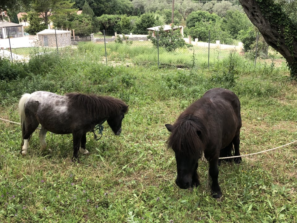 Sonstiges Hotel Corfu Pearl