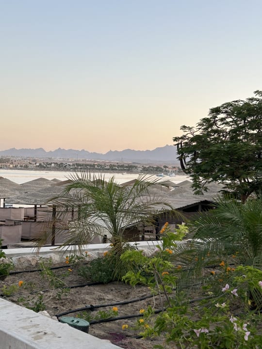 Ausblick Grand Waterworld Makadi & Family Star Makadi