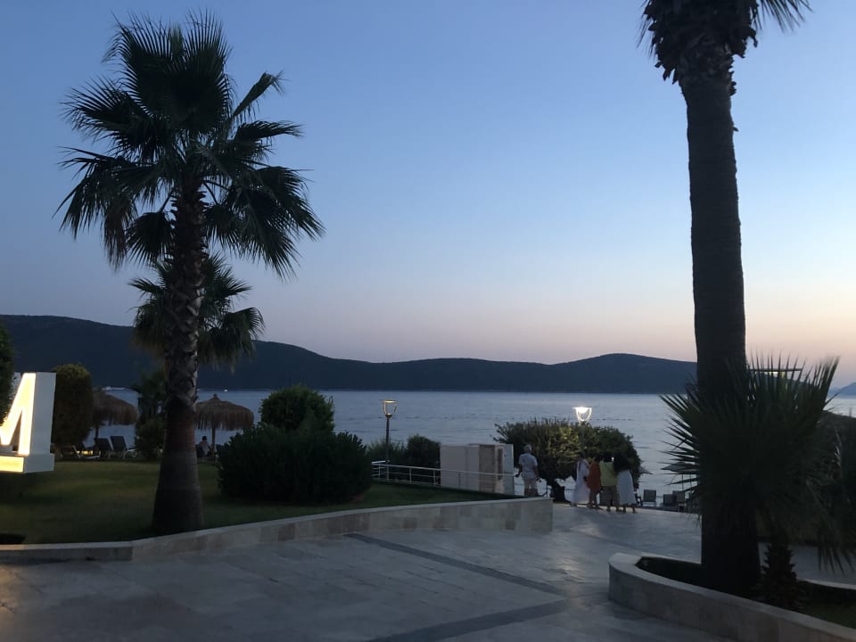 Ausblick TUI MAGIC LIFE Bodrum - Adult Only (16+)