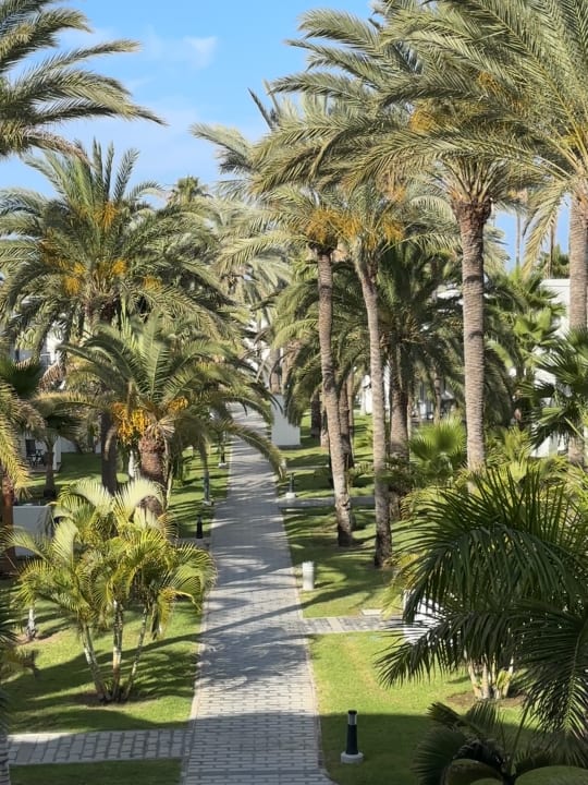 Gartenanlage Hotel Riu Palace Meloneras