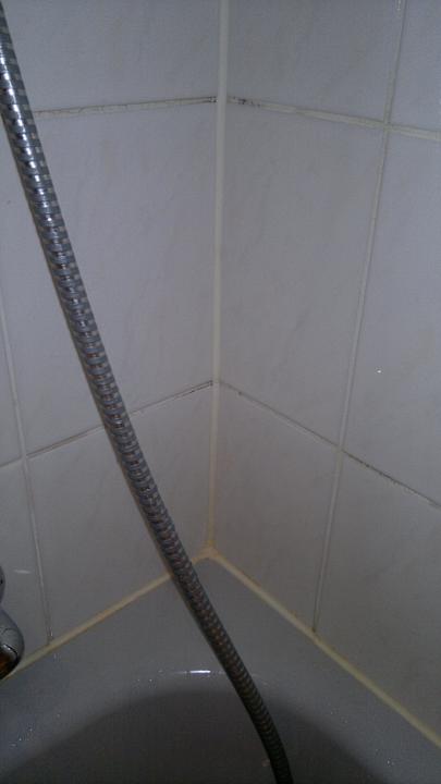 Schimmel der Dusche Leonardo Hotel Düsseldorf Airport - Ratingen