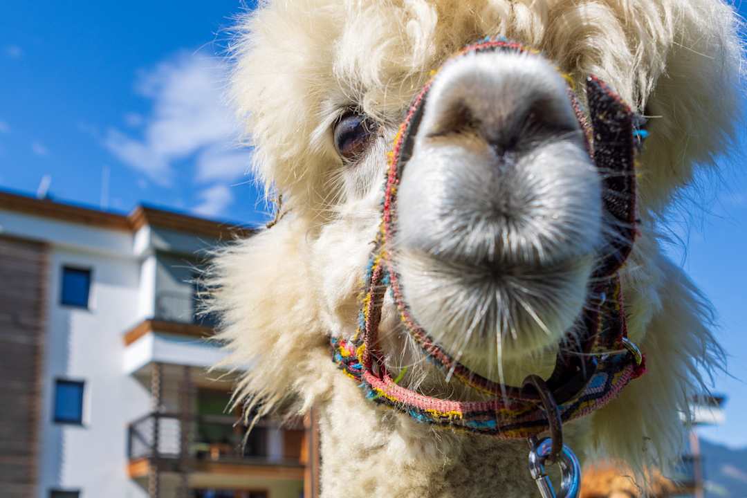 Sport & Freizeit Natur Resort Rissbacher